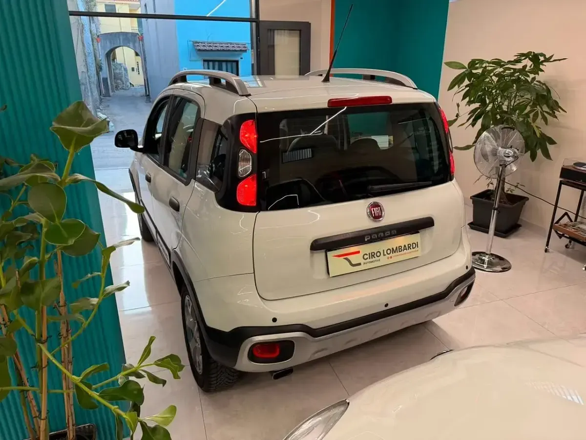 Usata Fiat Panda Cross Cross 90 CV (66 kW) 2015 Bianco Utilitaria