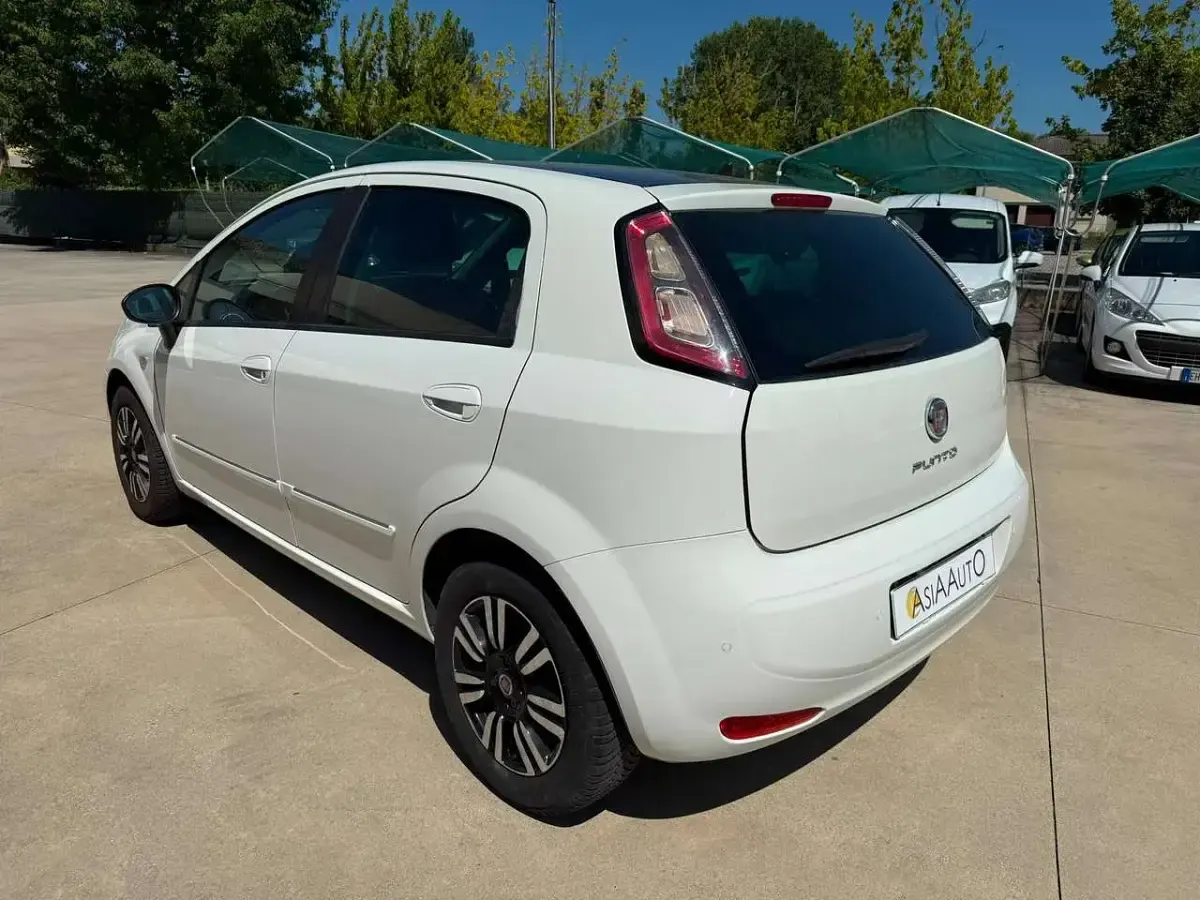 Usata Fiat Punto Young 69 CV (50 kW) 2014 Bianco tetto nero Utilitaria