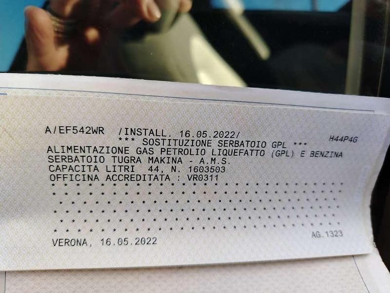 Usata Fiat Punto Evo Active 77 CV (56 kW) 2010 Utilitaria