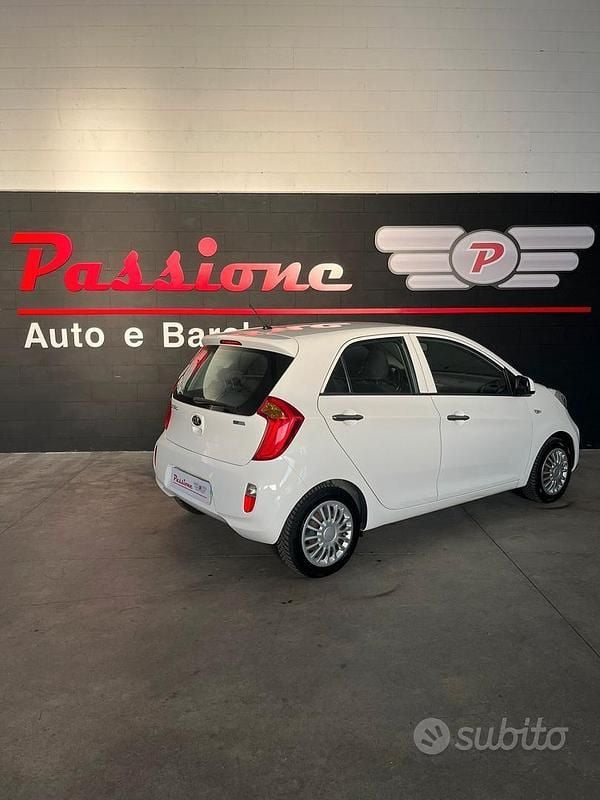 Usata Kia Picanto 66 CV (48 kW) 2015 Bianco Utilitaria