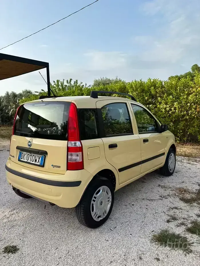 Usata Fiat Panda Dynamic 60 CV (44 kW) 2007 Giallo Utilitaria