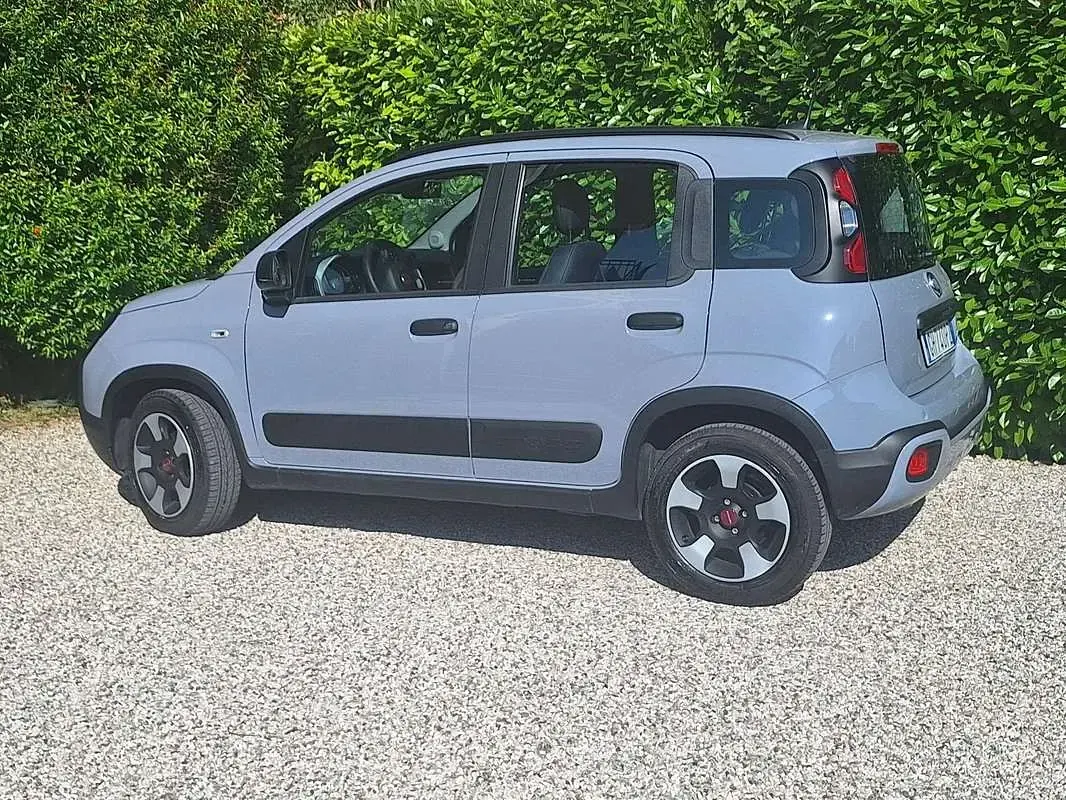 Usata Fiat Panda Cross Cross 69 CV (50 kW) 2022 Utilitaria