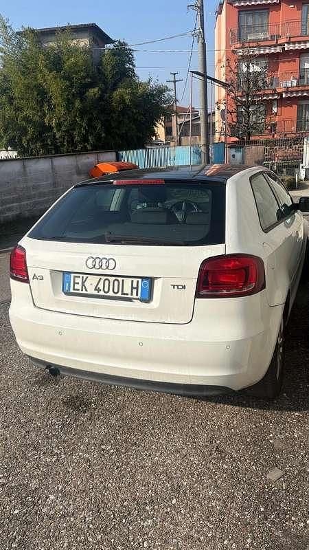 Usata Audi A3 Ambiente 90 CV (66 kW) 2011 Bianco Utilitaria