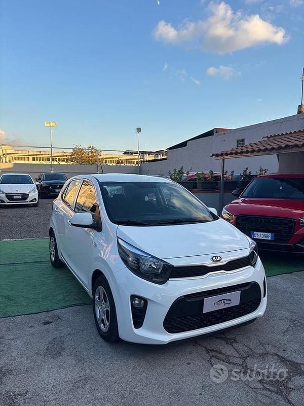Usata Kia Picanto X-Line 66 CV (48 kW) 2019 Bianco Utilitaria