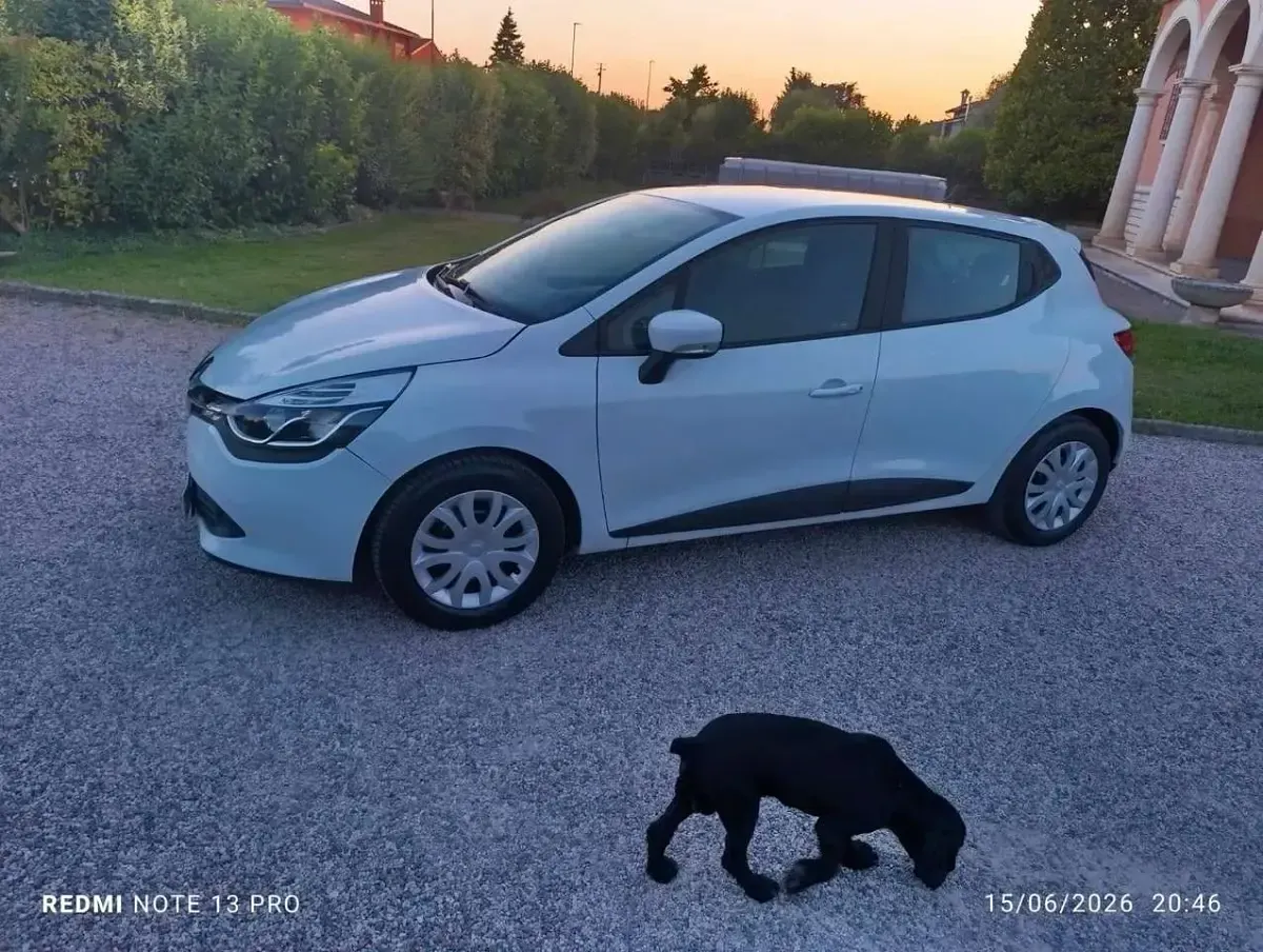 Usata Renault Clio IV Zen 75 CV (55 kW) 2017 Bianco Berlina