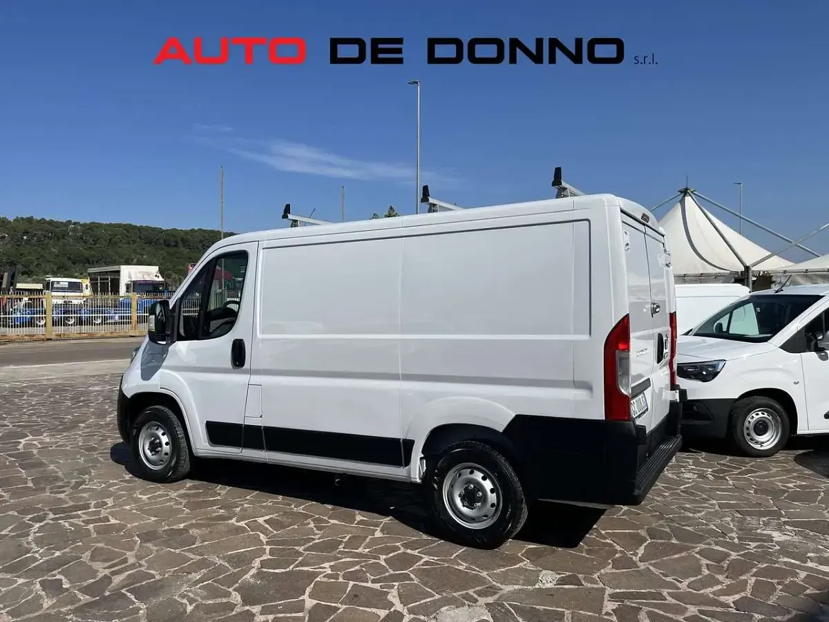 Usata Fiat Ducato 120 CV (88 kW) 2020 Bianco Furgone