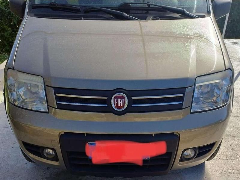 Usata Fiat Panda 4x4 Climbing 60 CV (44 kW) 2007 Oro Utilitaria