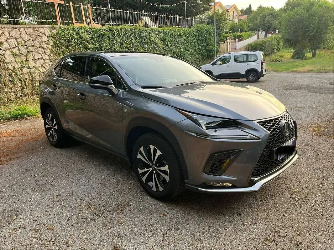 Usata Lexus NX300h Sport Line 155 CV (114 kW) 2019 Grigio SUV