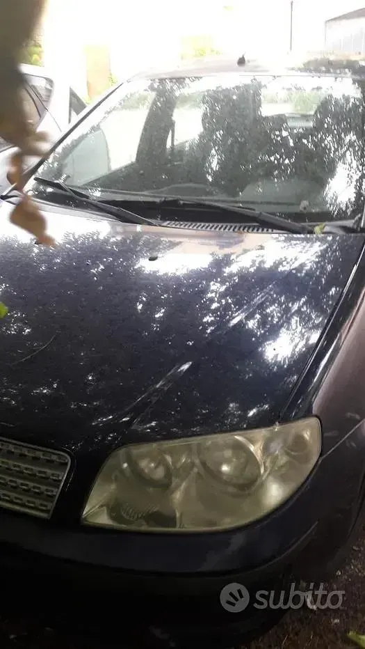 Usata Fiat Punto 60 CV (44 kW) 2010 Bluazzurro Utilitaria