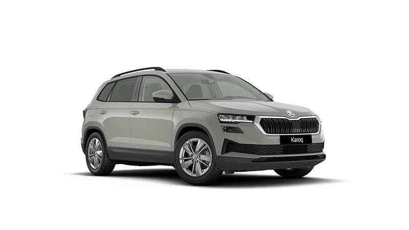 Nuova Skoda Karoq Executive 116 CV (85 kW) 2026 Grigio SUV