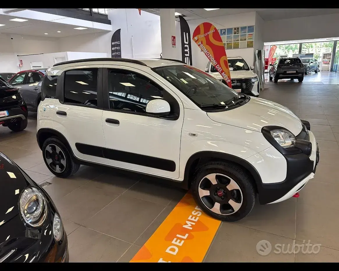 Usata Fiat Panda Cross Cross 69 CV (50 kW) 2024 Bianco Utilitaria