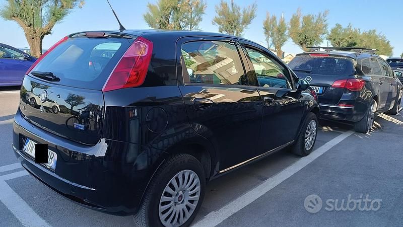Usata Fiat Punto 77 CV (56 kW) 2009 Utilitaria