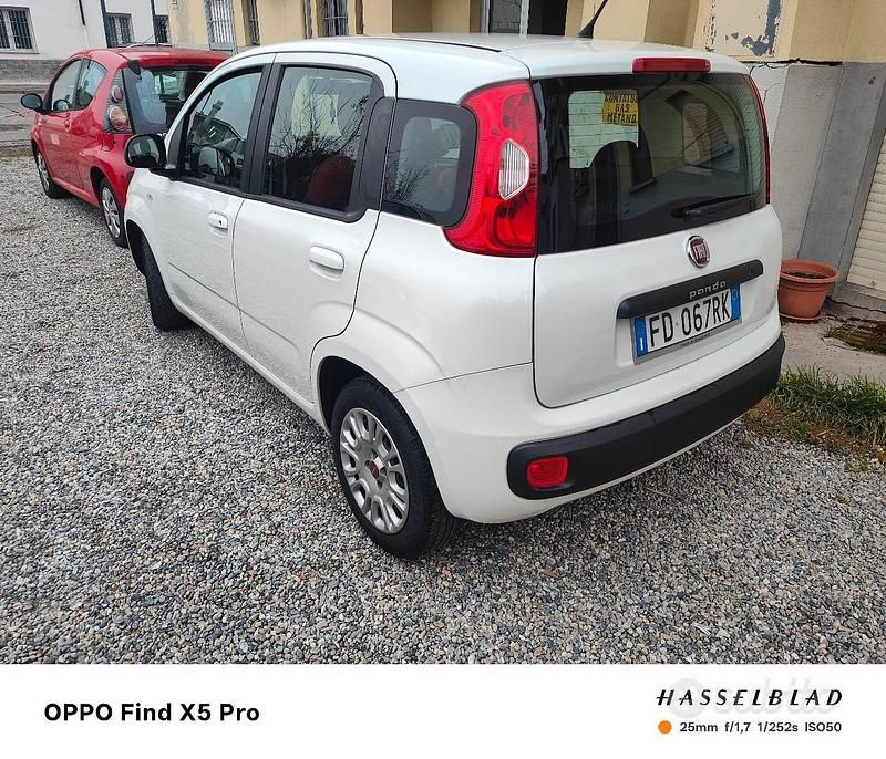 Usata Fiat Panda Star 80 CV (58 kW) 2015 Bianco Berlina
