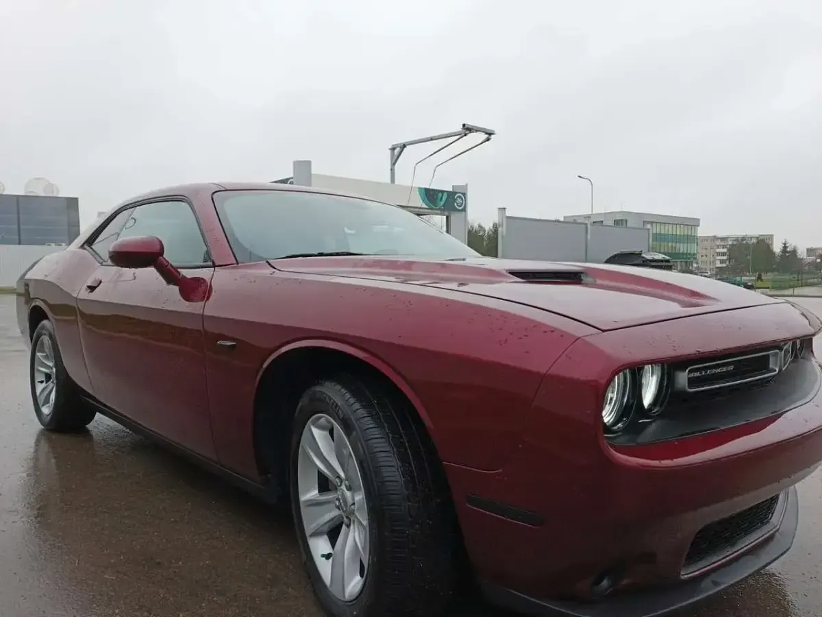 Usata Dodge Challenger 305 CV (224 kW) 2019 Bordeaux Coupé