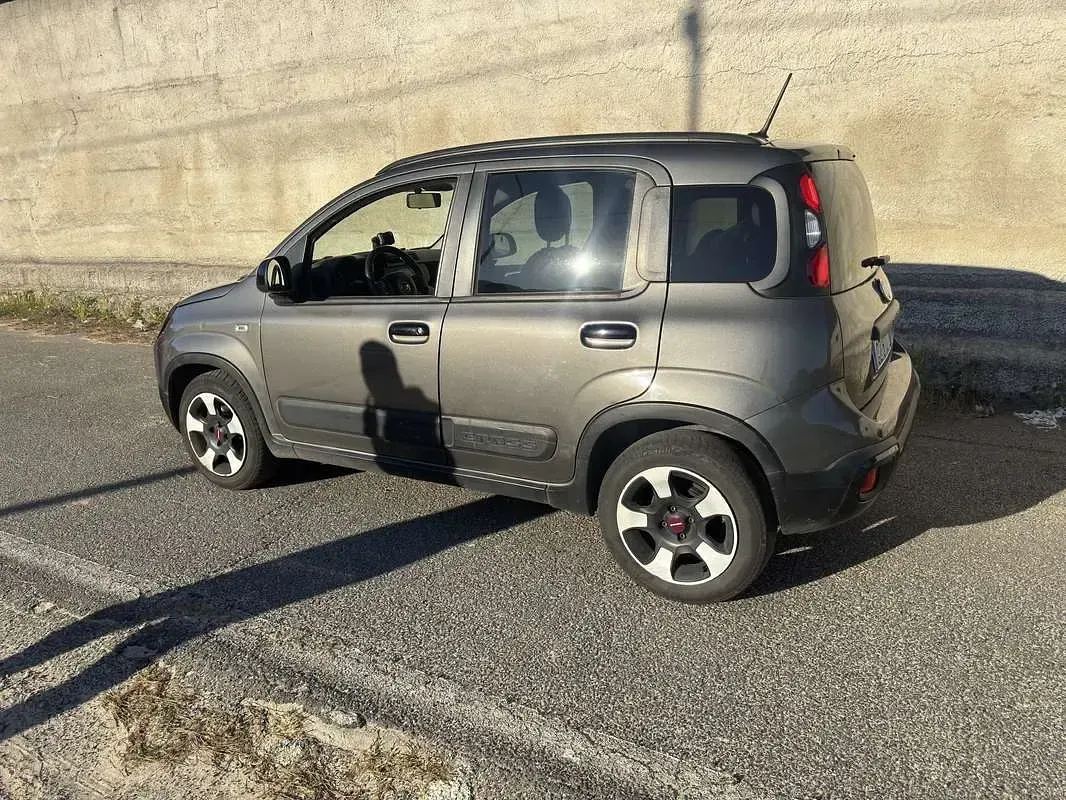 Usata Fiat Panda Cross Cross 69 CV (50 kW) 2019 Utilitaria