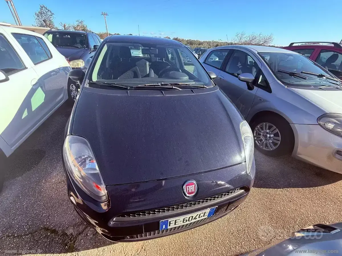 Usata Fiat Punto Lounge 77 CV (56 kW) 2016 Utilitaria