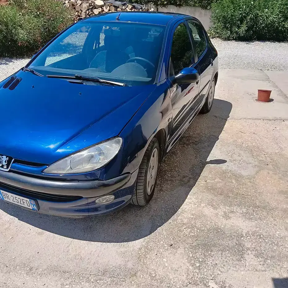 Usata Peugeot 206 75 CV (55 kW) 2001 Bluazzurro Berlina