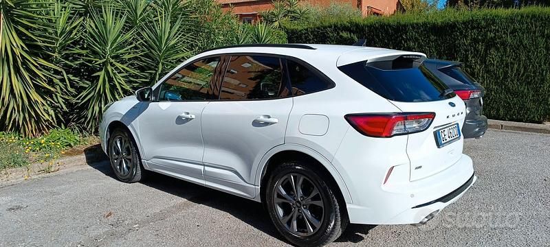 Usata Ford Kuga ST-Line X 190 CV (139 kW) 2021 SUV