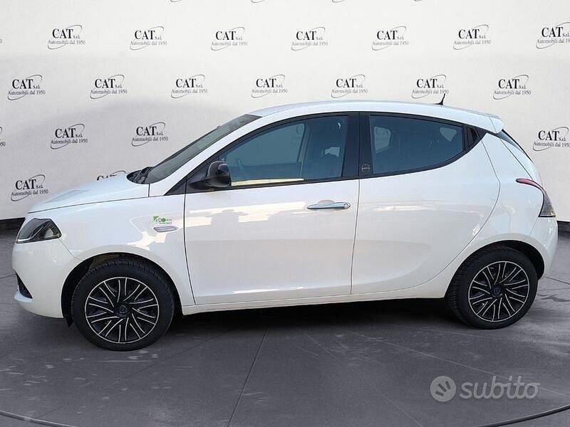 Usata Lancia Ypsilon Silver 69 CV (50 kW) 2021 Bianco Utilitaria