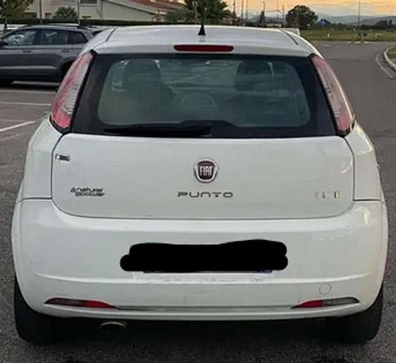 Usata Fiat Punto Easy 69 CV (50 kW) 2013 Bianco Utilitaria