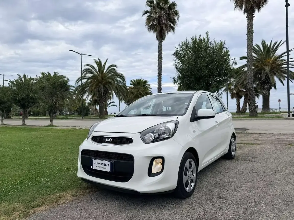 Usado Kia Picanto 65 CV (47 kW) 2016 Blanco Utilitario
