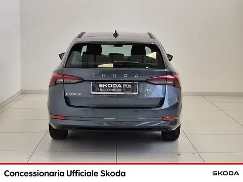 Usata Skoda Octavia Executive 150 CV (110 kW) 2021 Grigio Station wagon