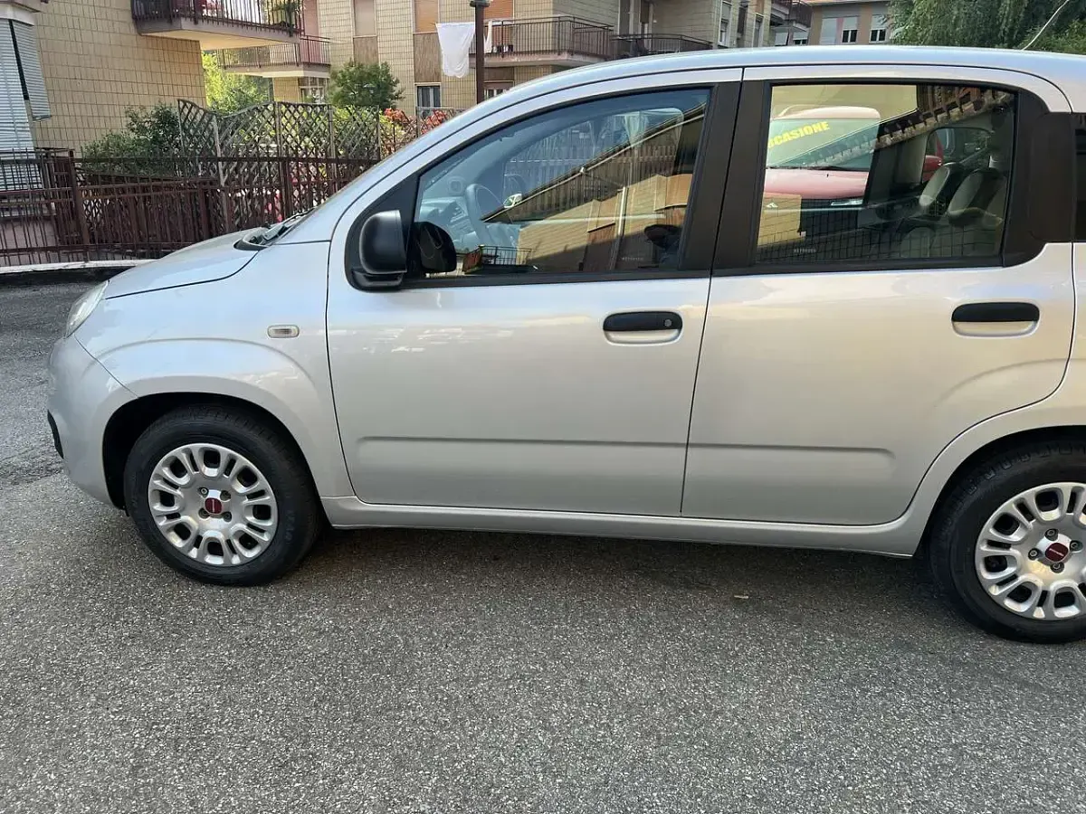 Usata Fiat Panda Easy 69 CV (50 kW) 2016 Argento Utilitaria