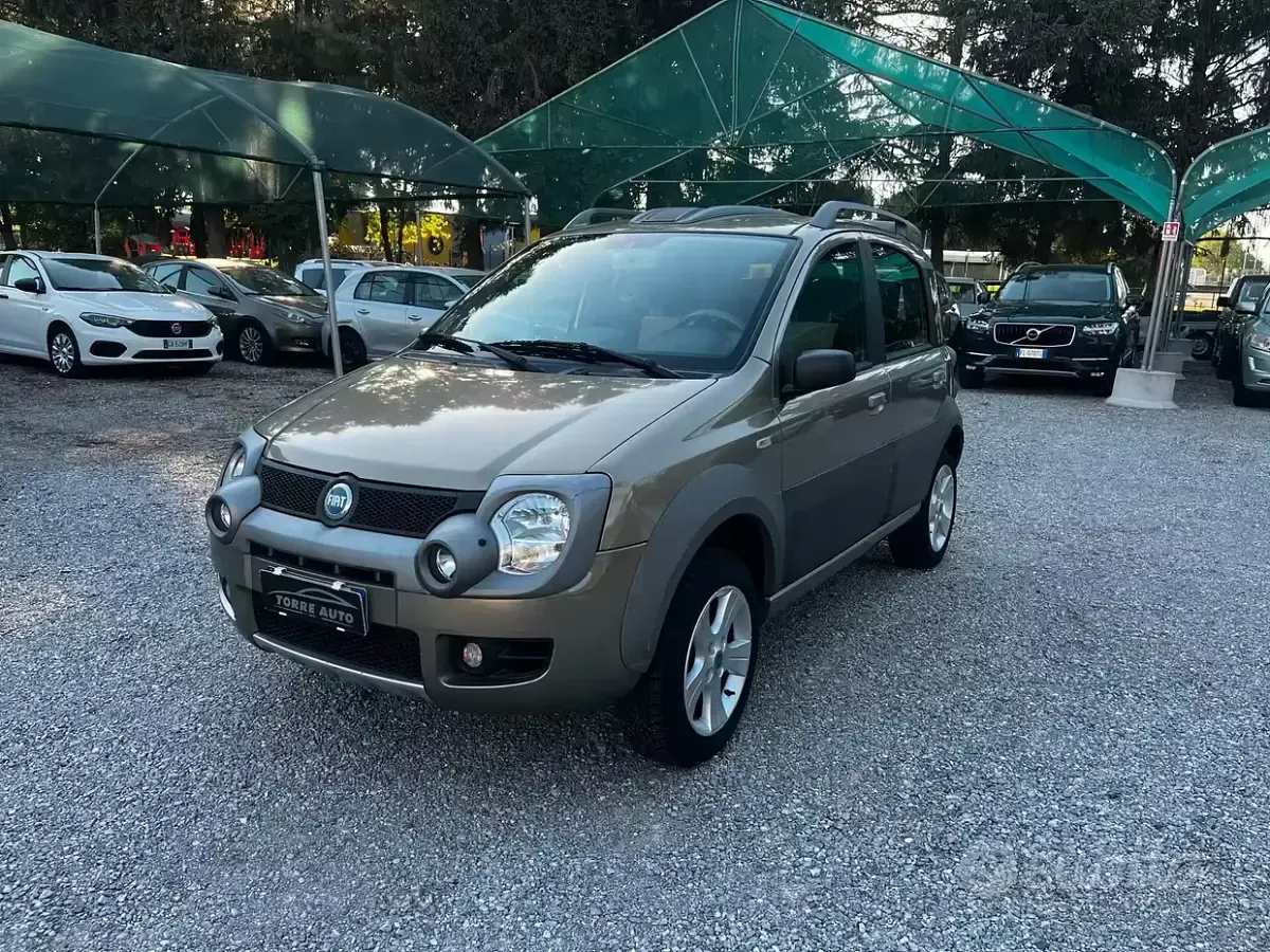 Usata Fiat Panda 4x4 Cross 69 CV (50 kW) 2006 Utilitaria