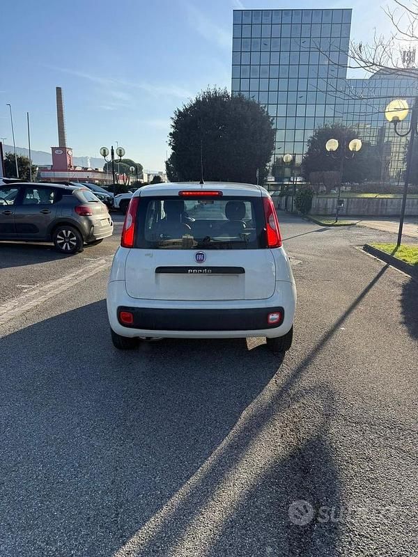 Usata Fiat Panda Easy 2017 Bianco Utilitaria