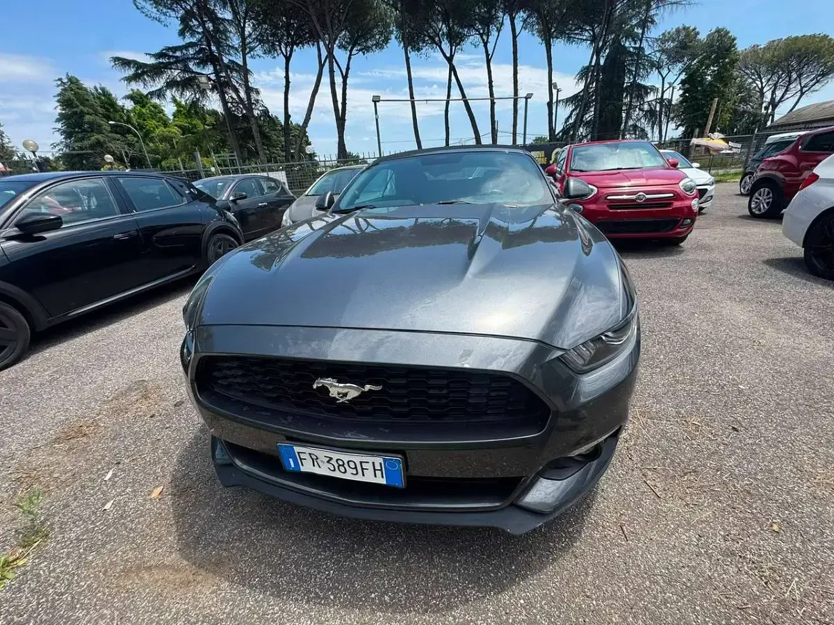Usata Ford Mustang Convertible 317 CV (233 kW) 2018 Grigio Cabrio