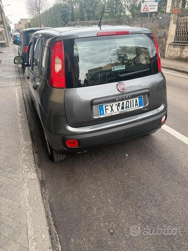 Usata Fiat Panda Easy 69 CV (50 kW) 2019 Grigio Utilitaria