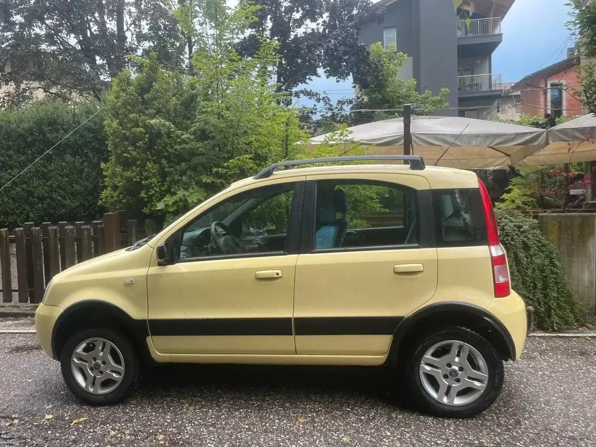 Usata Fiat Panda 4x4 Climbing 69 CV (50 kW) 2007 Utilitaria