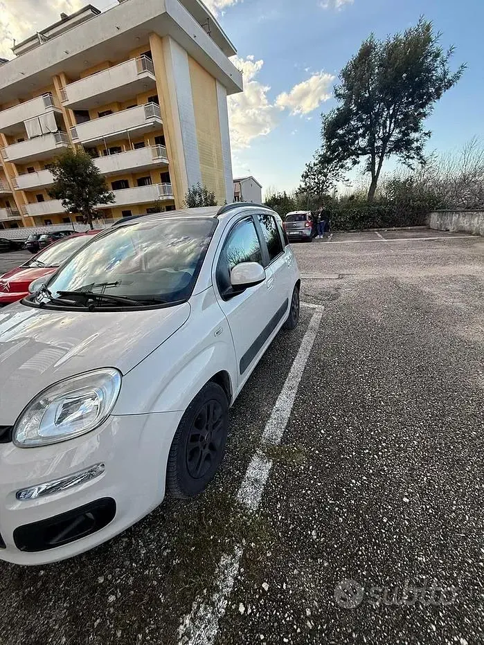 Usata Fiat Panda 80 CV (58 kW) 2017 Utilitaria