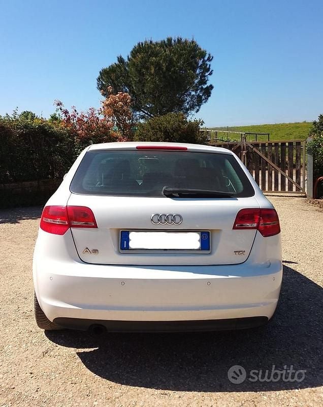 Usata Audi A3 Attraction 105 CV (77 kW) 2011 Bianco Utilitaria