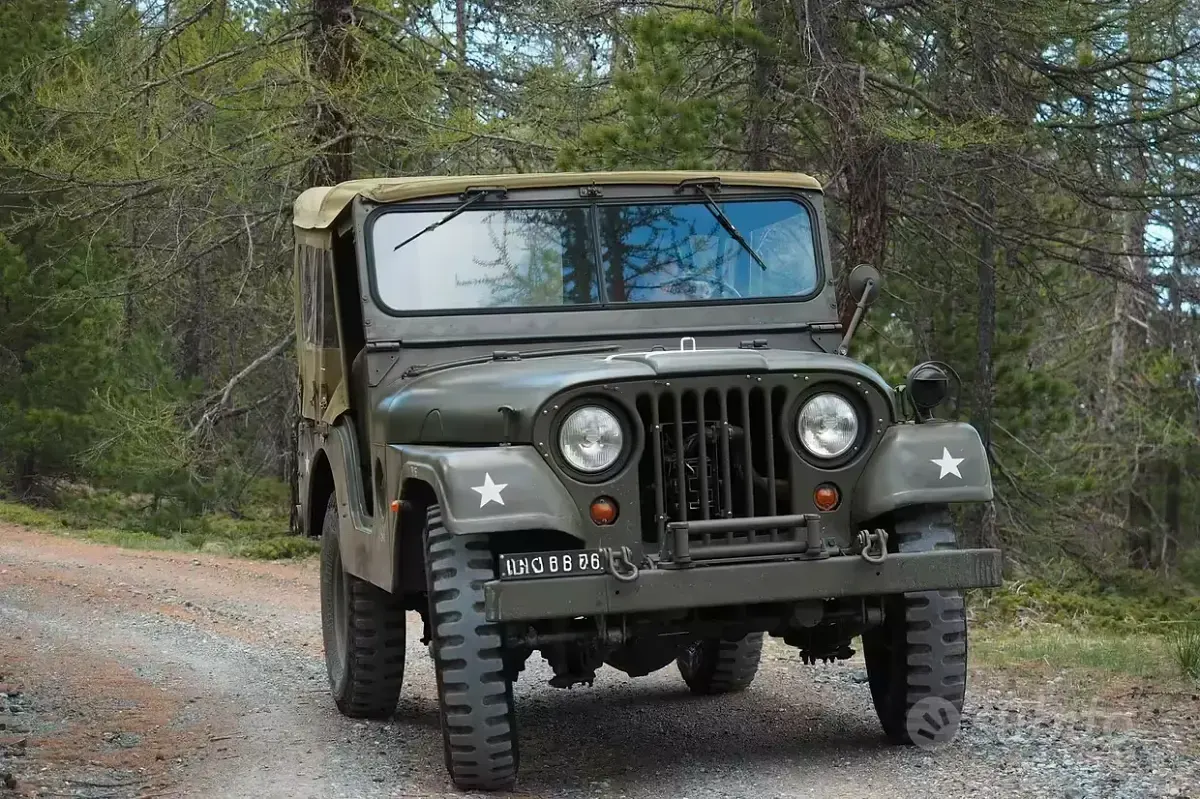 Usata Jeep Willys 1970 Verde SUV