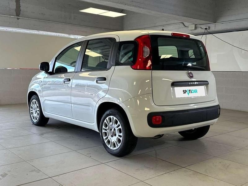 Usata Fiat Panda Easy 69 CV (50 kW) 2020 Bianco Berlina
