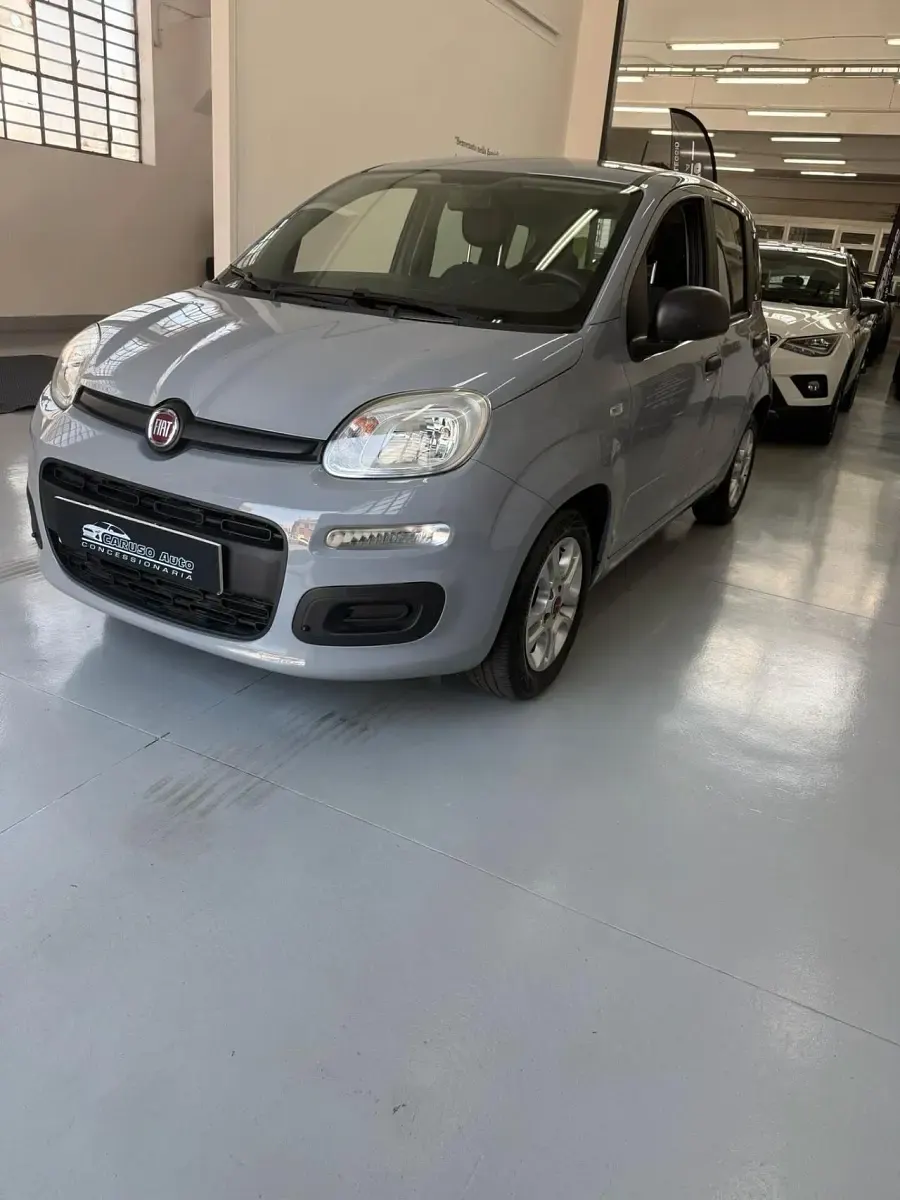 Usata Fiat Panda Cross Cross 69 CV (50 kW) 2021 Grigio Utilitaria