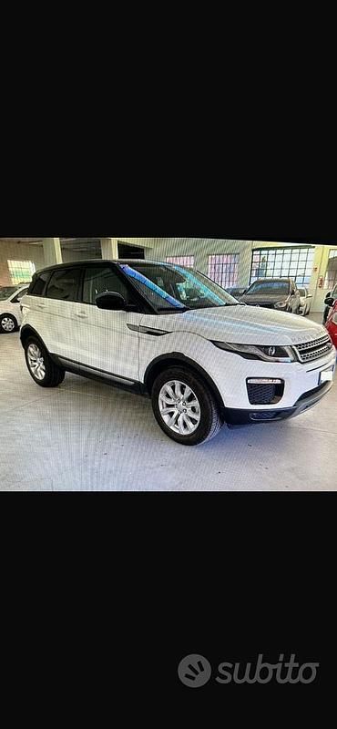 Usata Land Rover Range Rover evoque SE 150 CV (110 kW) 2019 Bianco SUV