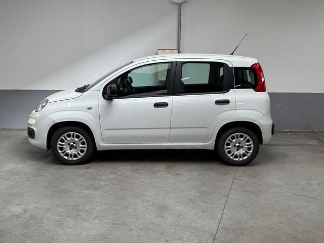 Usata Fiat Panda Easy 69 CV (50 kW) 2020 Bianco Berlina