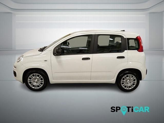 Nuova Fiat Panda S 69 CV (50 kW) 2025 Bianco Utilitaria