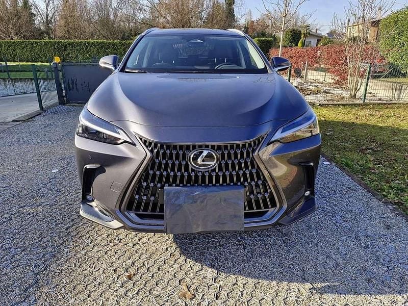 Usata Lexus NX450h+ 185 CV (136 kW) 2024 Grigio SUV