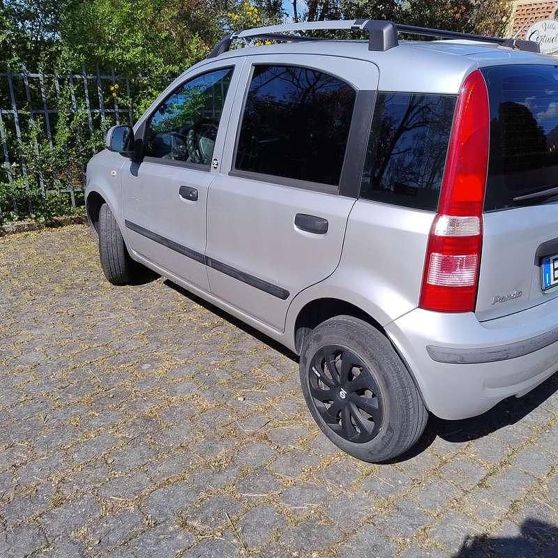 Usata Fiat Panda Dynamic 77 CV (56 kW) 2011 Grigio Utilitaria