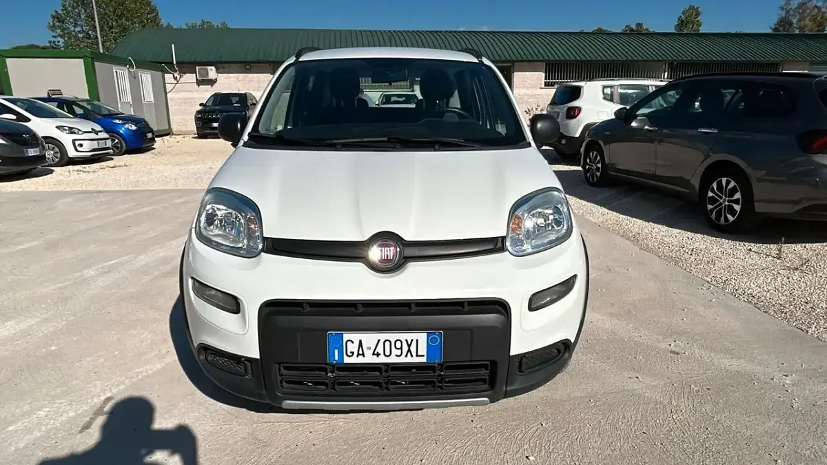 Usata Fiat Panda 4x4 S 85 CV (62 kW) 2020 Bianco Utilitaria