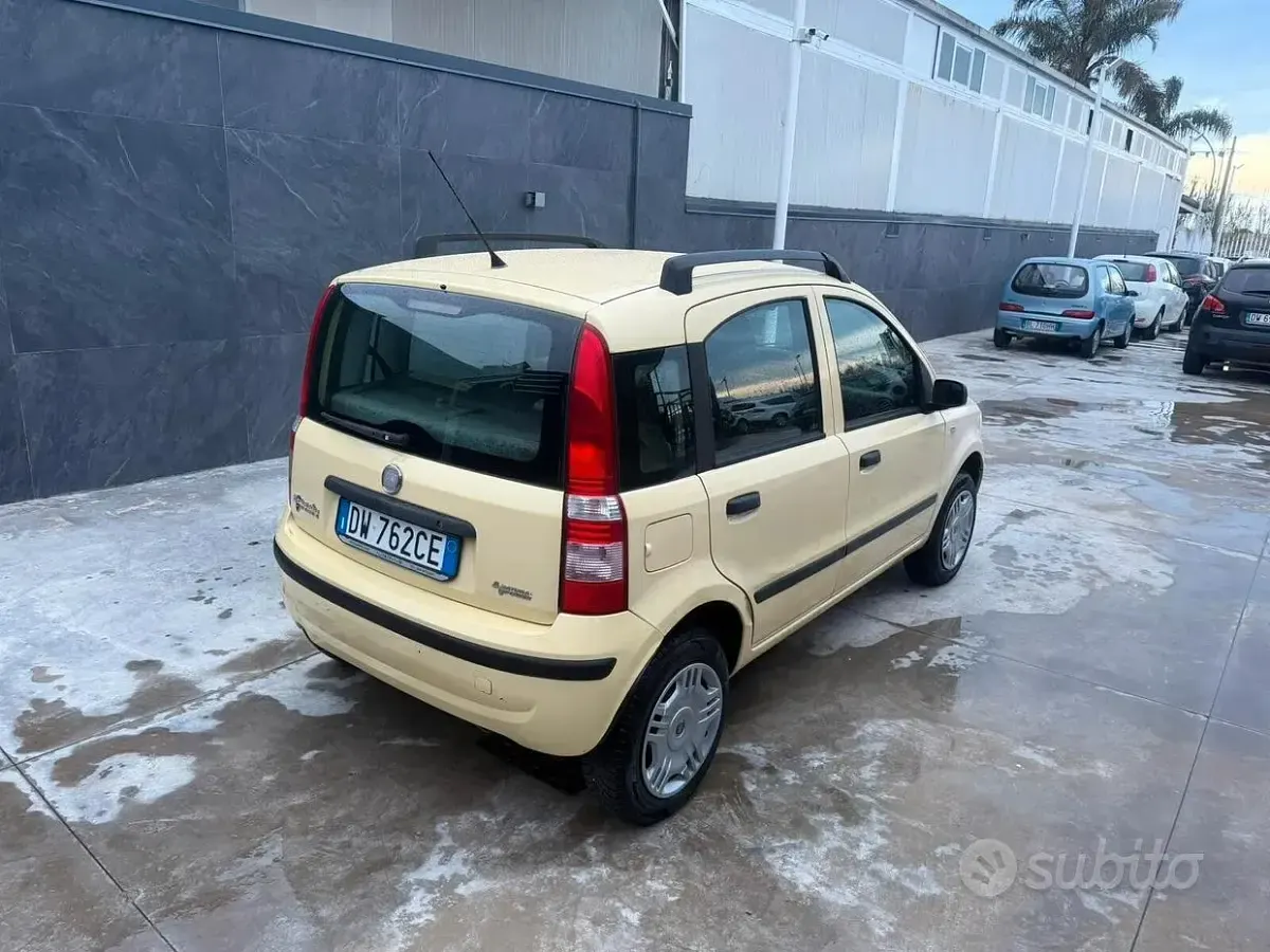 Usata Fiat Panda Dynamic 60 CV (44 kW) 2009 Giallo Utilitaria