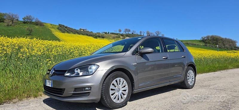 Usata VW Golf VII 110 CV (80 kW) 2014 Grigio Utilitaria