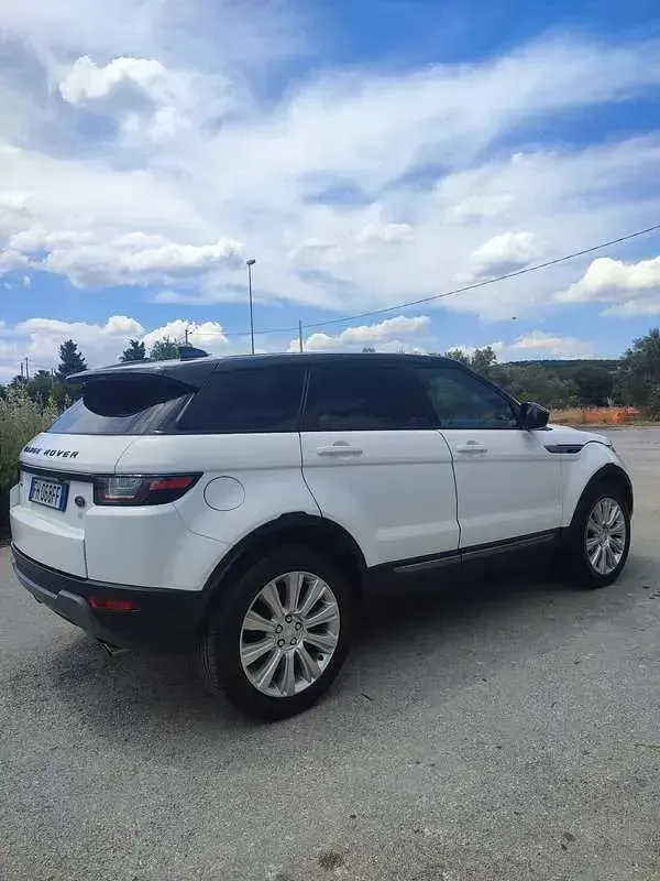 Usata Land Rover Range Rover evoque HSE 150 CV (110 kW) 2017 Bianco SUV