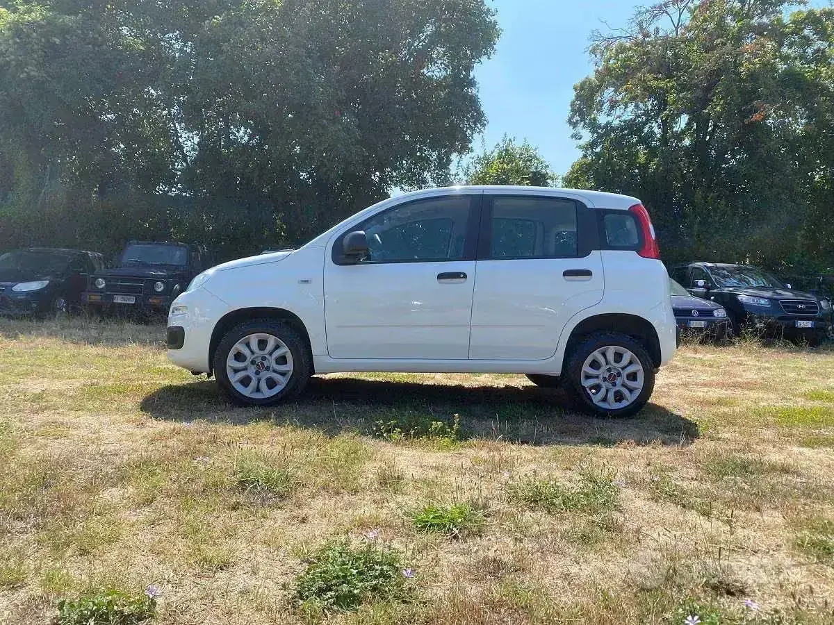 Usata Fiat Panda 86 CV (63 kW) 2018 Bianco Utilitaria