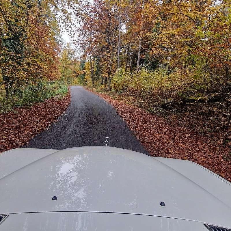 Usata Mercedes 280 185 CV (136 kW) 1979 Bianco Coupé
