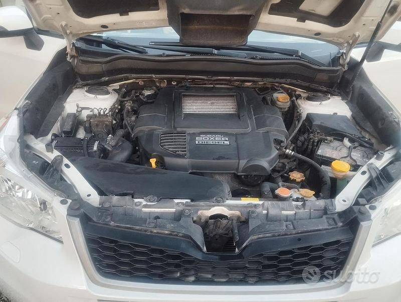 Usata Subaru Forester 2013 Bianco SUV
