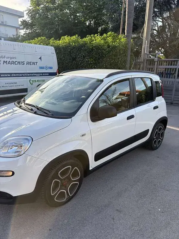 Usata Fiat Panda Cross Cross 69 CV (50 kW) 2021 Utilitaria